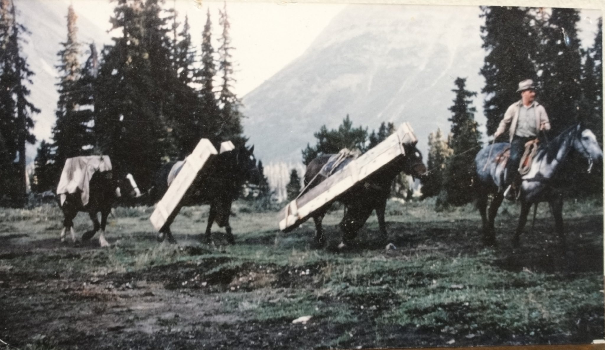 Warden Gerry Lyster packing supplies into the Red Deer Lakes Cabin of the Cyclone District in Banff National Park. Photo taken in September, 1961, by the late Donald Warner.