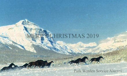 Merry Christmas 2019