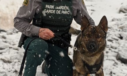 Banff National Park’s latest Warden dogmaster …