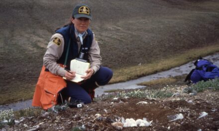 Cyndi Smith
